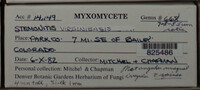 Image Associated With the Occurence